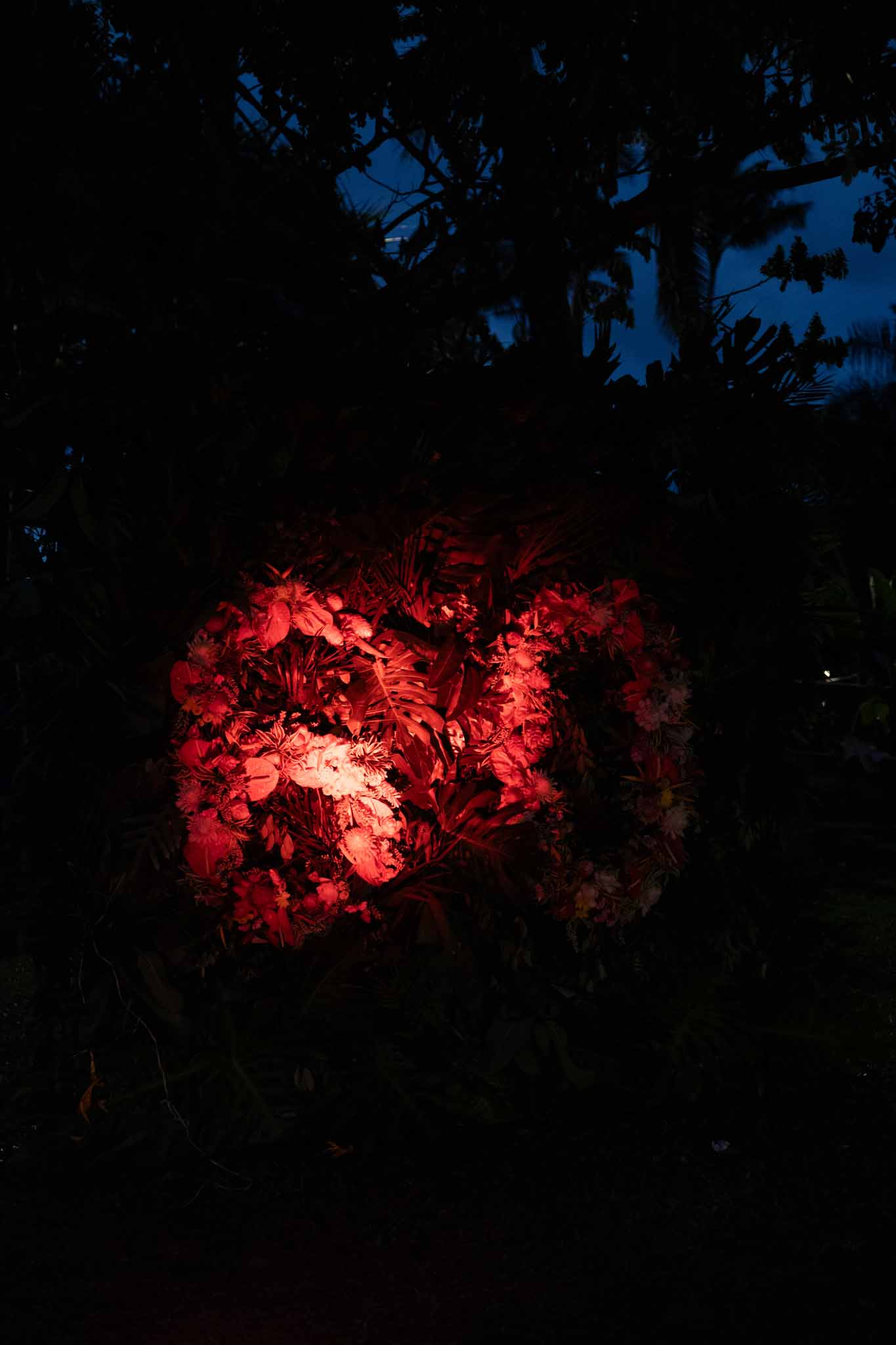 Evening in Polynesia-13