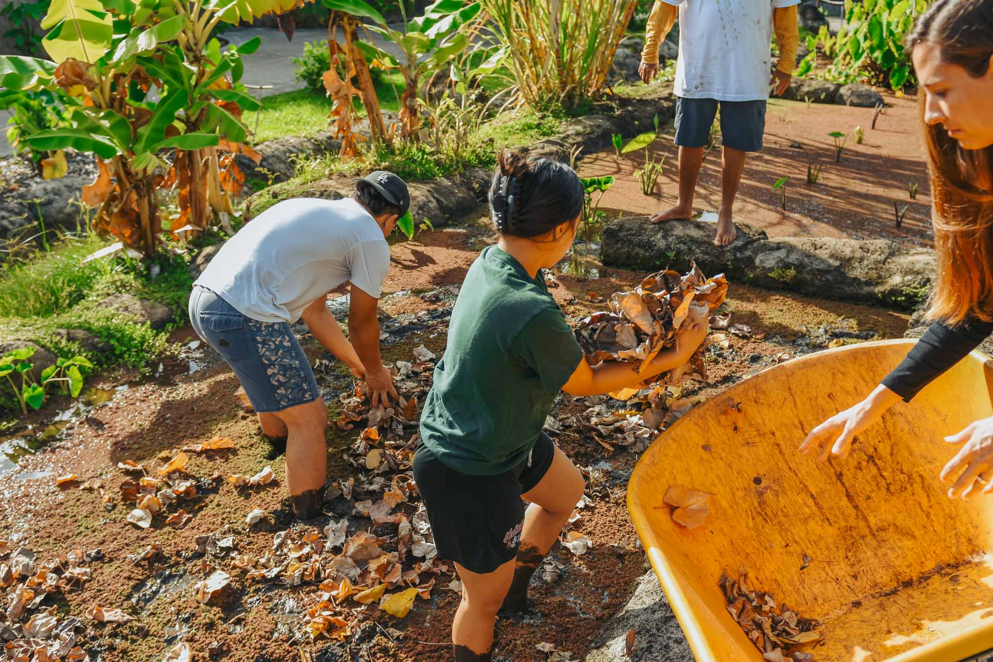Kalo Workshop - Hawaii Village-08