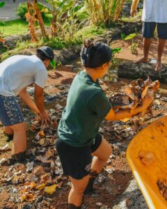 Kalo Workshop - Hawaii Village-09