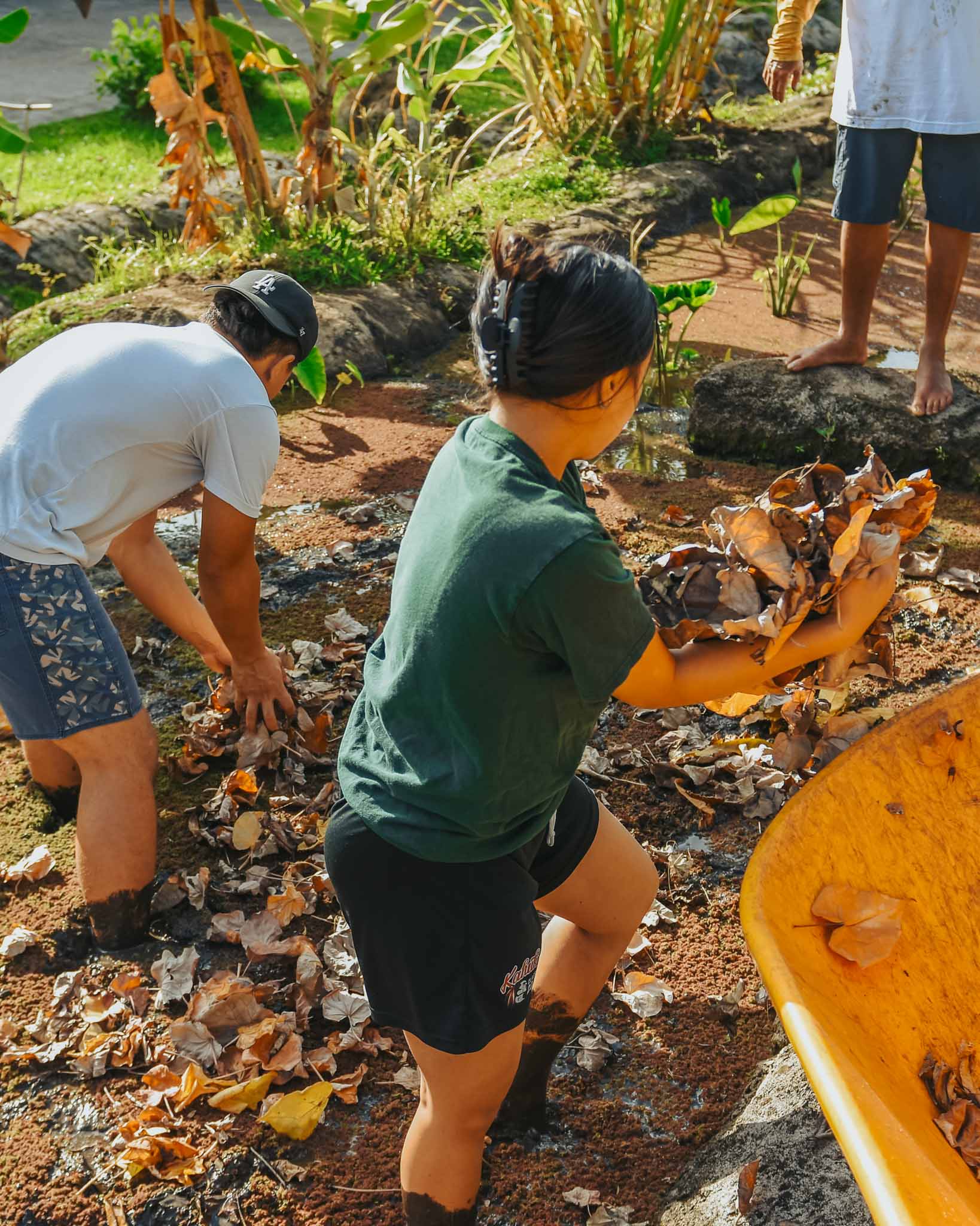 Kalo Workshop - Hawaii Village-09