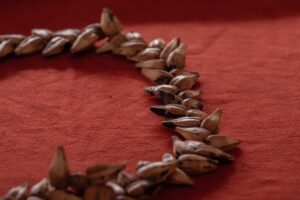 Samoa Devotional 2023-03